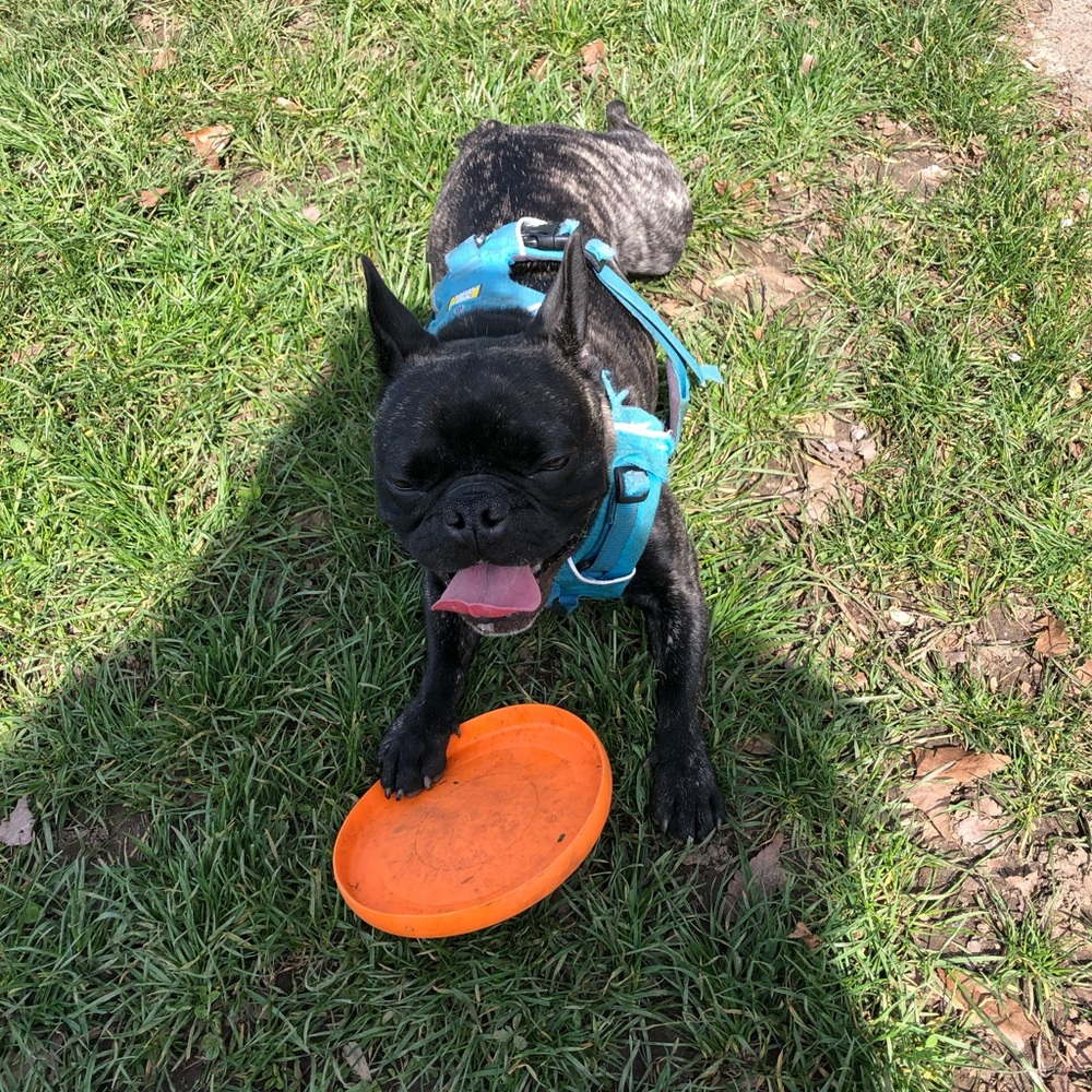 Meet your Posher, Skylar